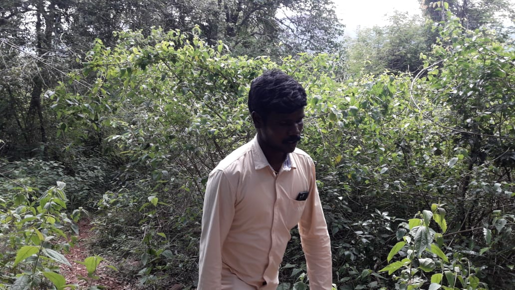 IMG-20190930-WA0010.jpg